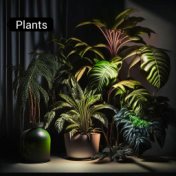 Plants (Extended)