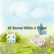 28 Storms Within A Forest