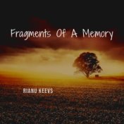 Fragments Of A Memory