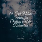 50 Soft Nature Sounds for Chilling Out & Relaxation