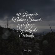 50 Loopable Nature Sounds for Yoga, Serenity & Serenity