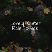 Lovely Winter Rain Sounds