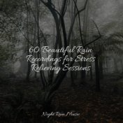 60 Beautiful Rain Recordings for Stress Relieving Sessions