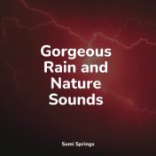 Gorgeous Rain and Nature Sounds