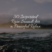 50 Inspirited Rain Sounds for a Peaceful Relax