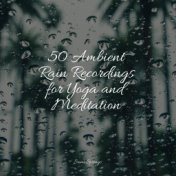 50 Ambient Rain Recordings for Yoga and Meditation