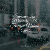 Summer Zen Moments - 50 Tranquil Nature Sounds