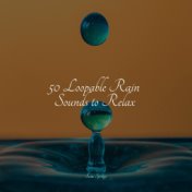 50 Loopable Rain Sounds to Relax