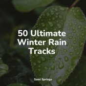 50 Ultimate Winter Rain Tracks