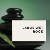 Large Wet Rock
