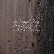 50 Tranquil Rain Drop Songs for Sleep and Chill Ambience