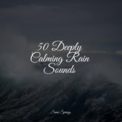 50 Deeply Calming Rain Sounds