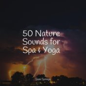 50 Nature Sounds for Spa & Yoga