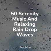 50 Serenity Music And Relaxing Rain Drop Waves
