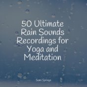 50 Ultimate Rain Sounds Recordings for Yoga and Meditation
