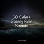 50 Calm & Steady Rain Sounds