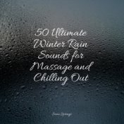 50 Ultimate Winter Rain Sounds for Massage and Chilling Out