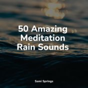 50 Amazing Meditation Rain Sounds