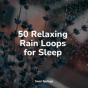 50 Relaxing Rain Loops for Sleep