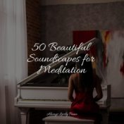 50 Beautiful Soundscapes for Meditation