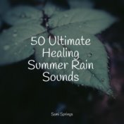 50 Ultimate Healing Summer Rain Sounds