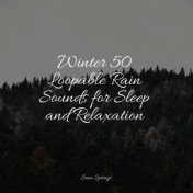 Winter 50 Loopable Rain Sounds for Sleep and Relaxation