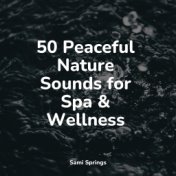 50 Peaceful Nature Sounds for Spa & Wellness