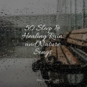 50 Sleep & Healing Rain and Nature Songs