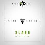 Artist Choice 040. Slang (4th Selection)