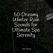 50 Dreamy Winter Rain Sounds for Ultimate Spa Serenity