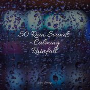 50 Rain Sounds - Calming Rainfall