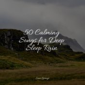 50 Calming Songs for Deep Sleep Rain