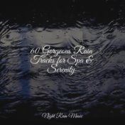 60 Gorgeous Rain Tracks for Spa & Serenity