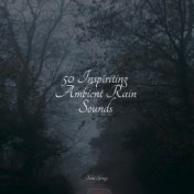 50 Inspiriting Ambient Rain Sounds