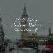 50 Calming Ambient Nature Rain Sounds