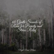 60 Gentle Sounds of Rain for Beauty and Stress Relief