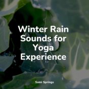 Winter Rain Sounds for Yoga Experience