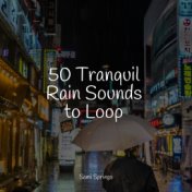 50 Tranquil Rain Sounds to Loop