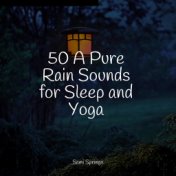 50 A Pure Rain Sounds for Sleep and Yoga