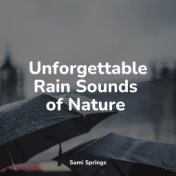 Unforgettable Rain Sounds of Nature