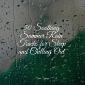 50 Soothing Summer Rain Tracks for Sleep and Chilling Out