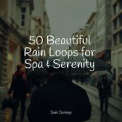 50 Beautiful Rain Loops for Spa & Serenity