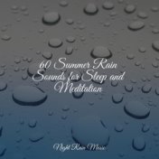 60 Summer Rain Sounds for Sleep and Meditation