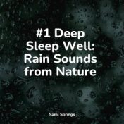 #1 Deep Sleep Well: Rain Sounds from Nature