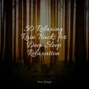 50 Relaxing Rain Tracks for Deep Sleep Relaxation