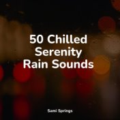 50 Chilled Serenity Rain Sounds