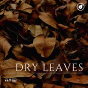 Dry Leaves