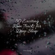 50 Exciting Rain Tracks for Deep Sleep