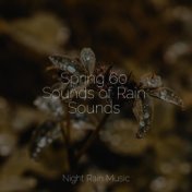 Spring 60 Sounds of Rain Sounds