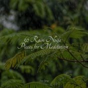 50 Rain Noise Pieces for Meditation